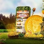 Vinn en resa och kontantvinster hos LeoVegas Casino!
