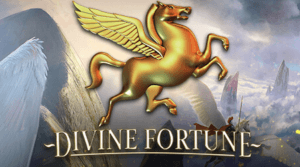 divins-fortune