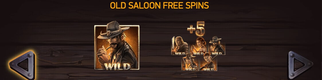 Free spins med bonus i Dead or Alive 2