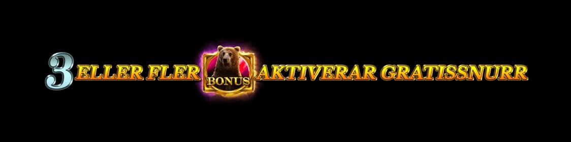 Grizzly Gold har free spins och bonus
