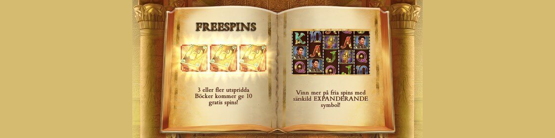 Bonus och free spins i Book of Dead