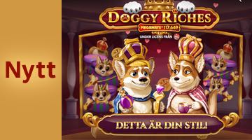 Skärmbild från sloten Doggy Riches Megaways