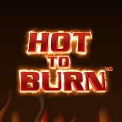 Hot to Burn