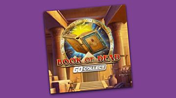 Bild på sloten Book of Dead GO Collect