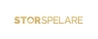 Gå till Storspelare casino